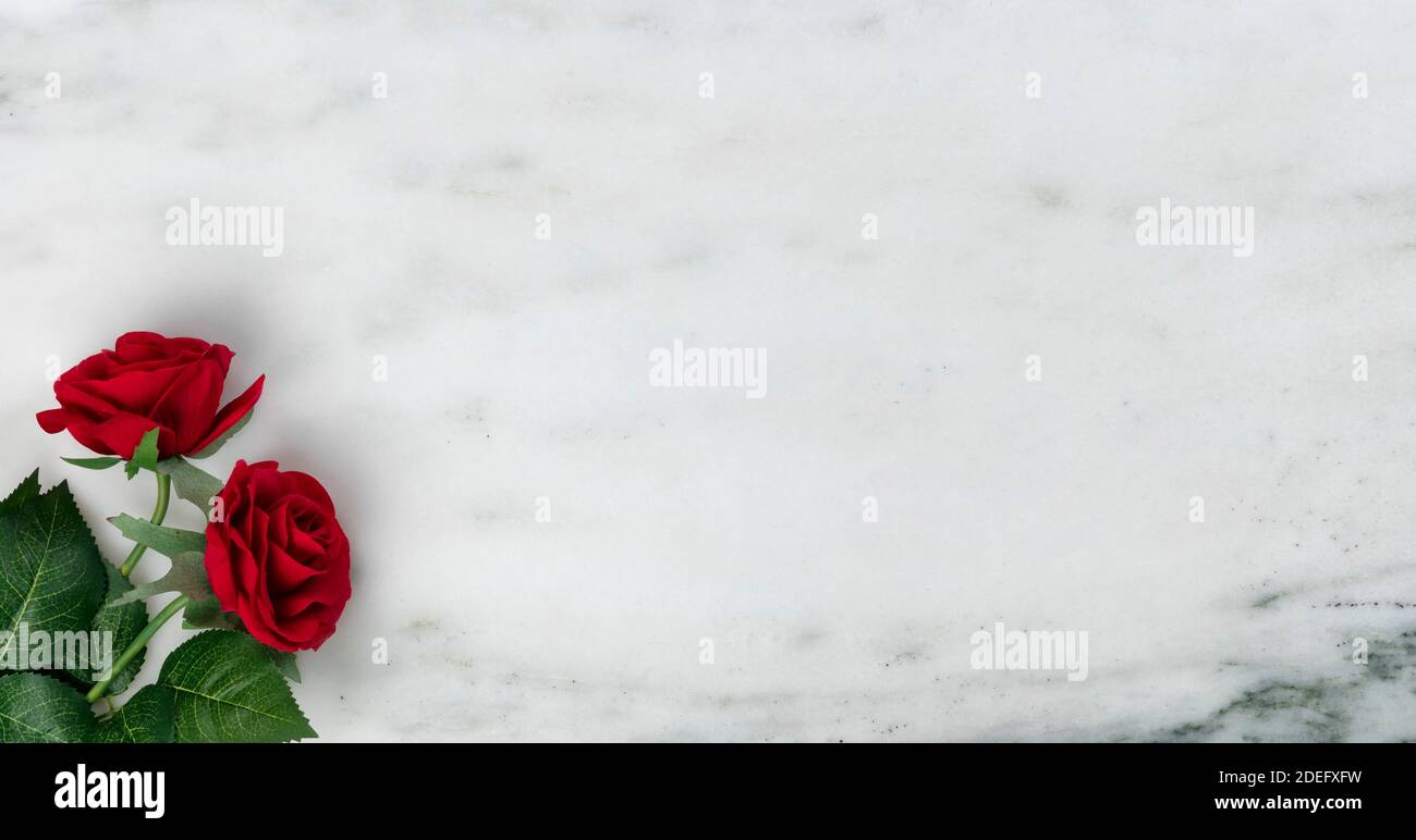 Happy Valentines Day with lovely red rose flowers on natural marble stone background Stock Photo
