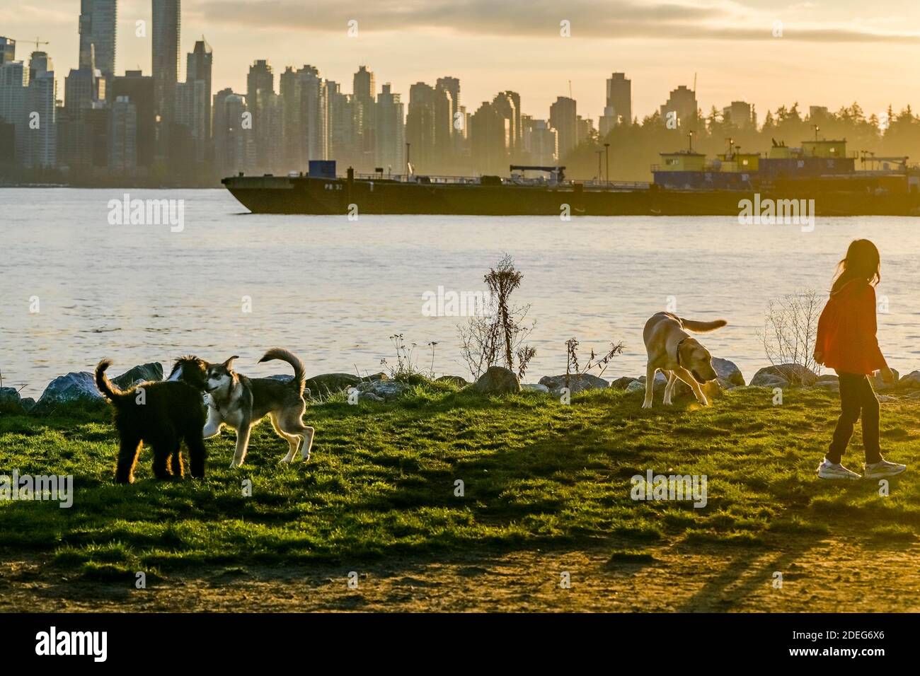 Kings mill dog park hires stock photography and images Alamy