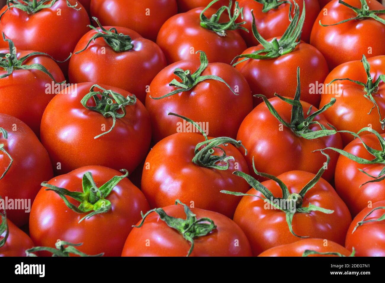 Vegetable background from juicy and ripe tomatoes Stock Photo - Alamy