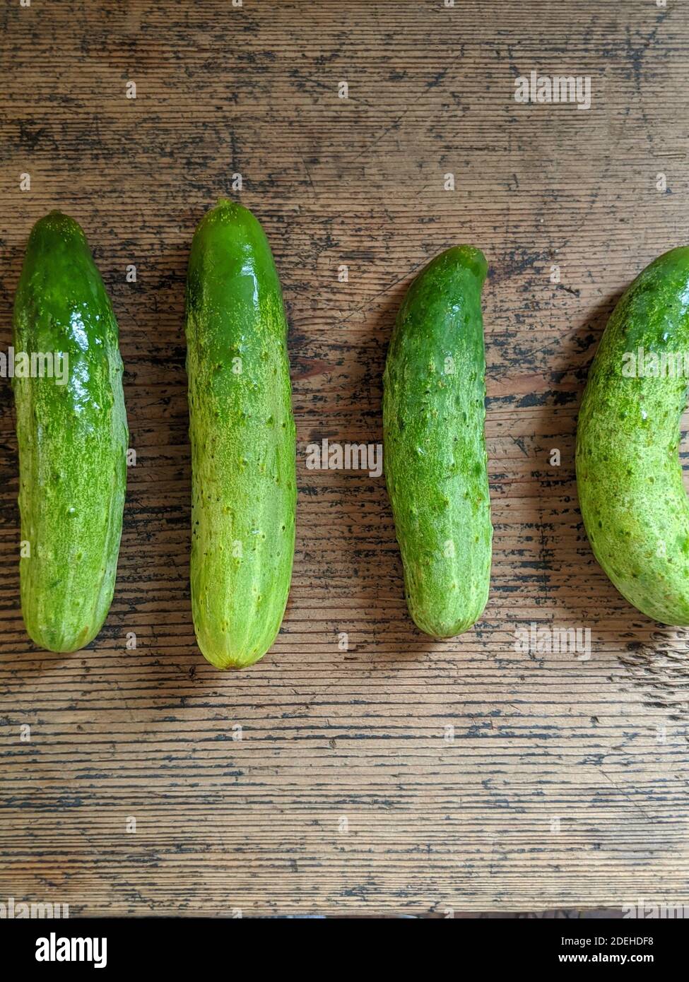 Tonojima Cucumber, Japanese Vegetables Stock Photo Alamy