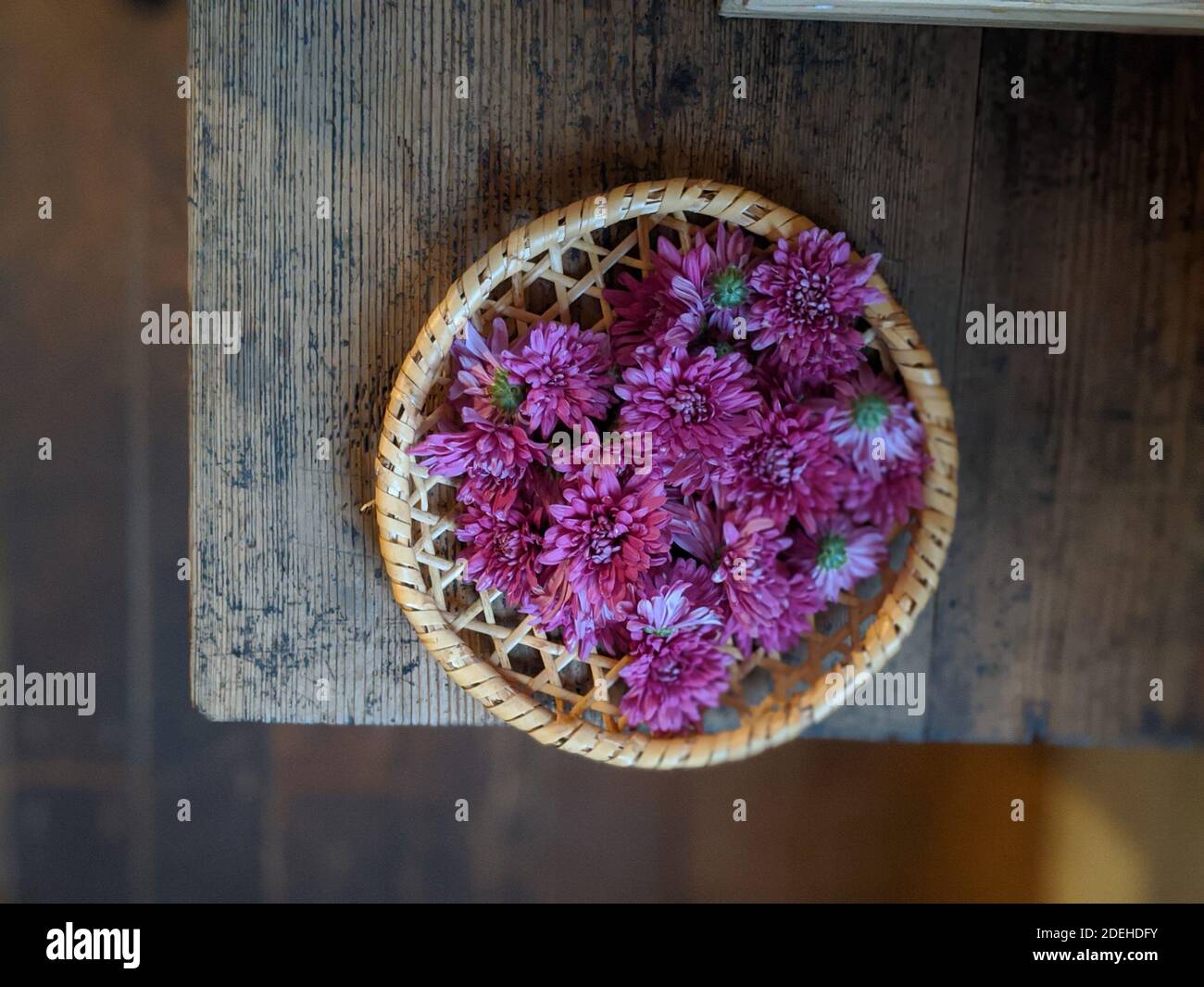 Mottenohoka (Japanese Edible Chrysanthemum Stock Photo Alamy