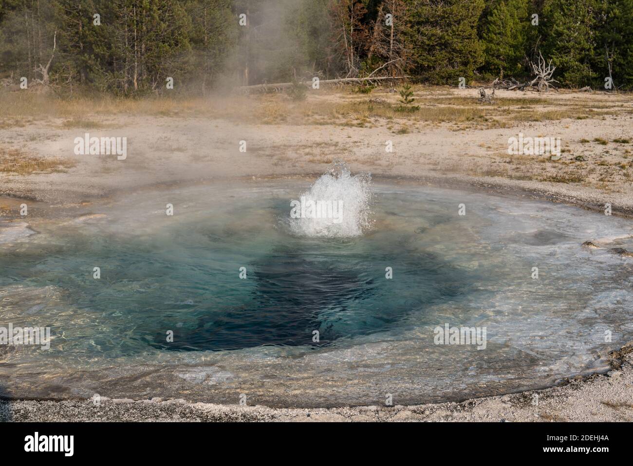 Spasmodic Geyser has more than twenty vents that can erupt.  Upper Geyser Basin, Yellowstone National Park, Wyoming, USA. Stock Photo