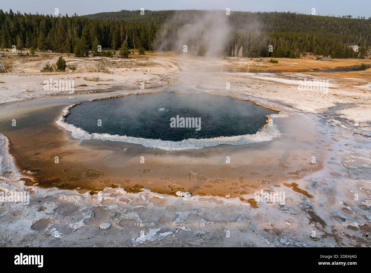 The Crested Pool is a bubble-shower-type spring, Upper Geyser Basin, Yellowstone National Park, Wyoming, USA. Stock Photo