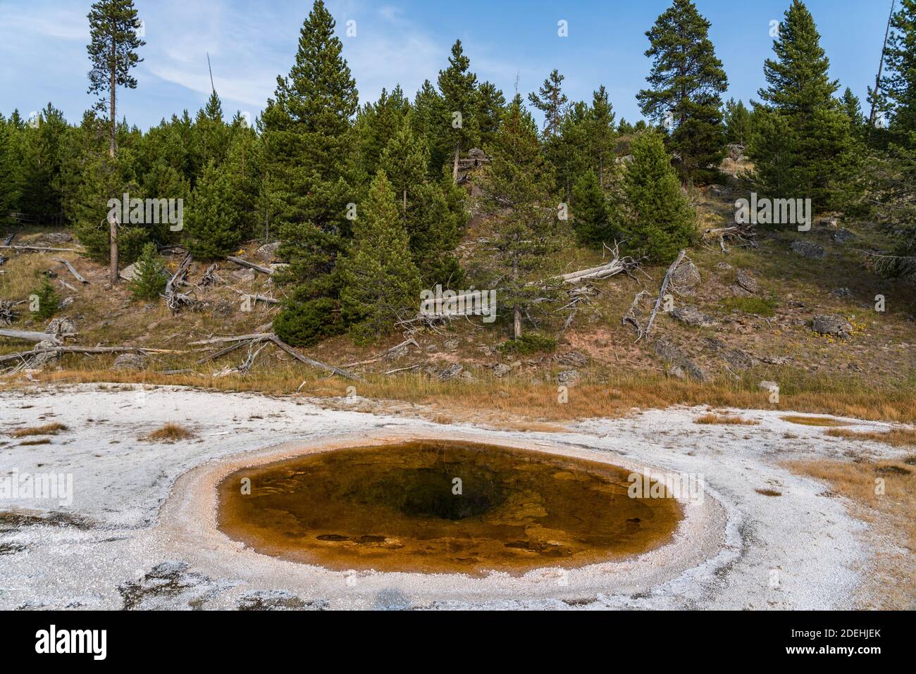 Wave Spring is a quiet clearwater hot spring in the Upper Geyser Basin, Yellowstone National Park, Wyoming, USA. Stock Photo