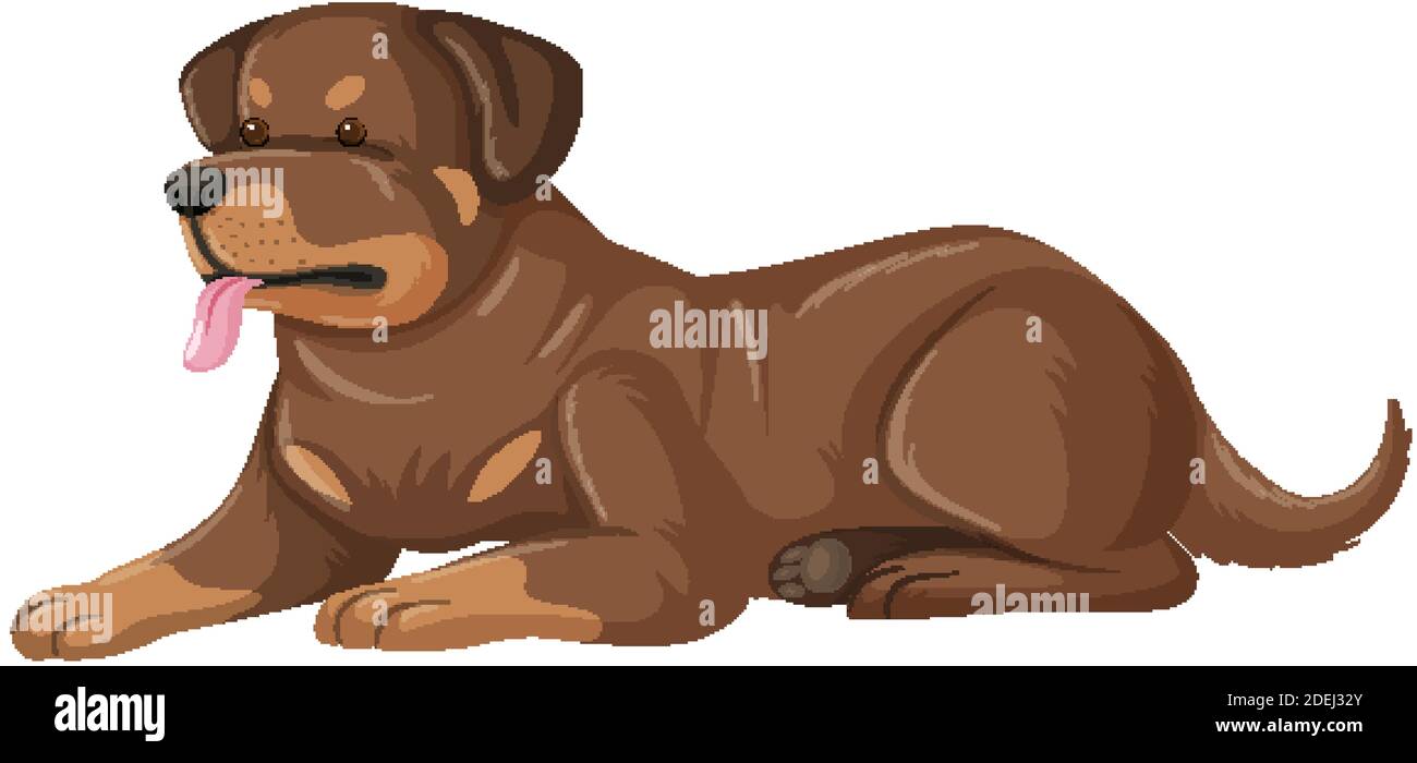 Rottweiler cartoon 2024