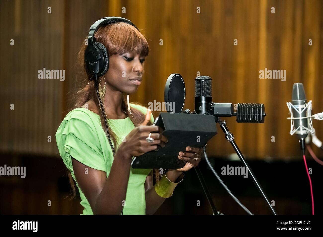 Johannesburg, South Africa February 17, 2014 African Artist Liz