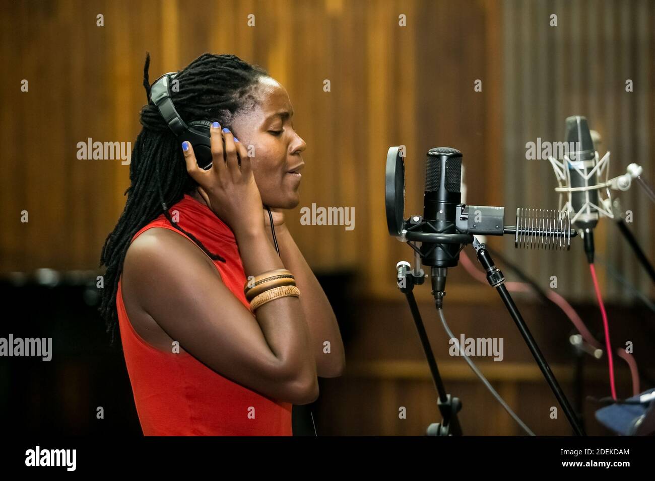 Johannesburg, South Africa February 17, 2014 African Artist Nancy G