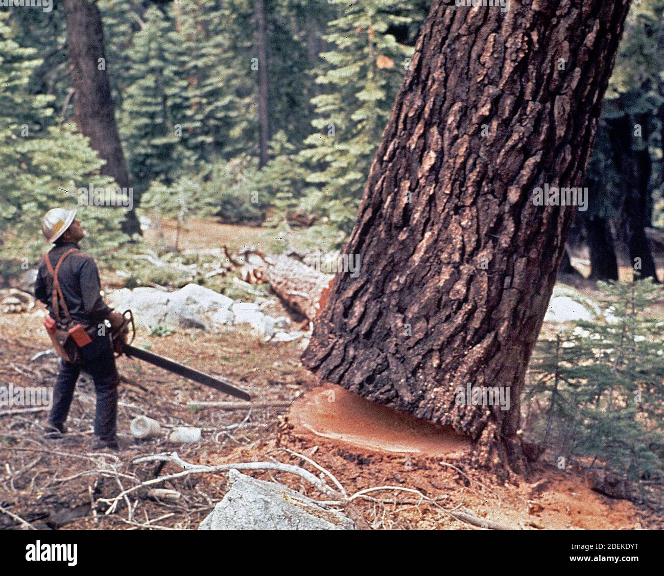 1972 1970s hi-res stock photography and images - Alamy