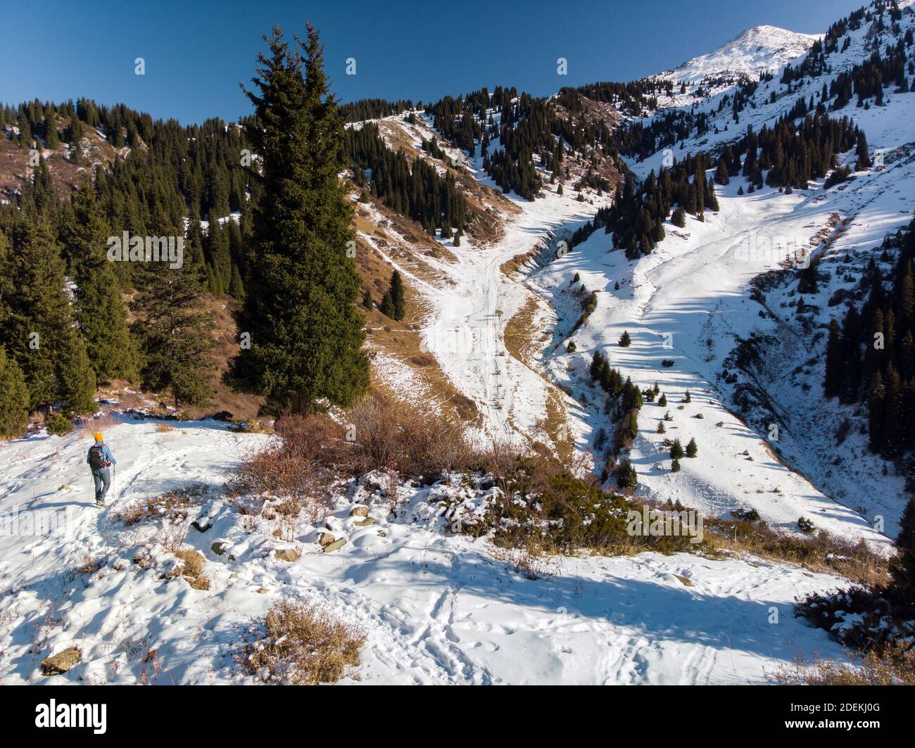 Man walks through fir hi-res stock photography and images - Alamy