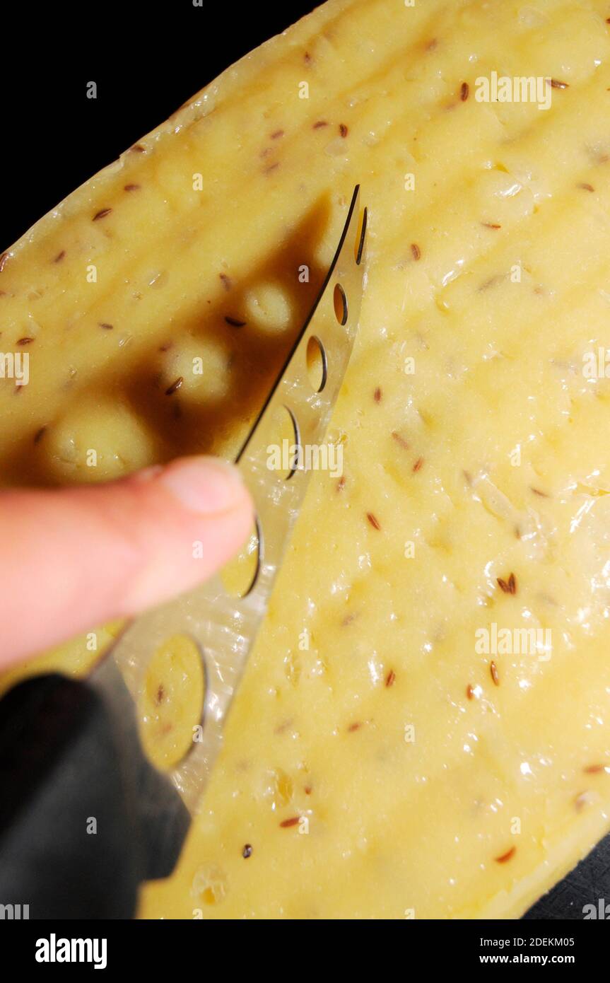 cutting a cheese with caraway seeds with a cheese knife Stock Photo Alamy