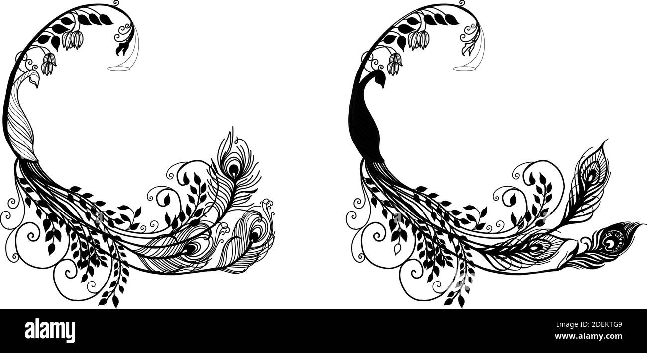 Phoenix tattoo Black and White Stock Photos \u0026 Images - Alamy, image size:1300x711