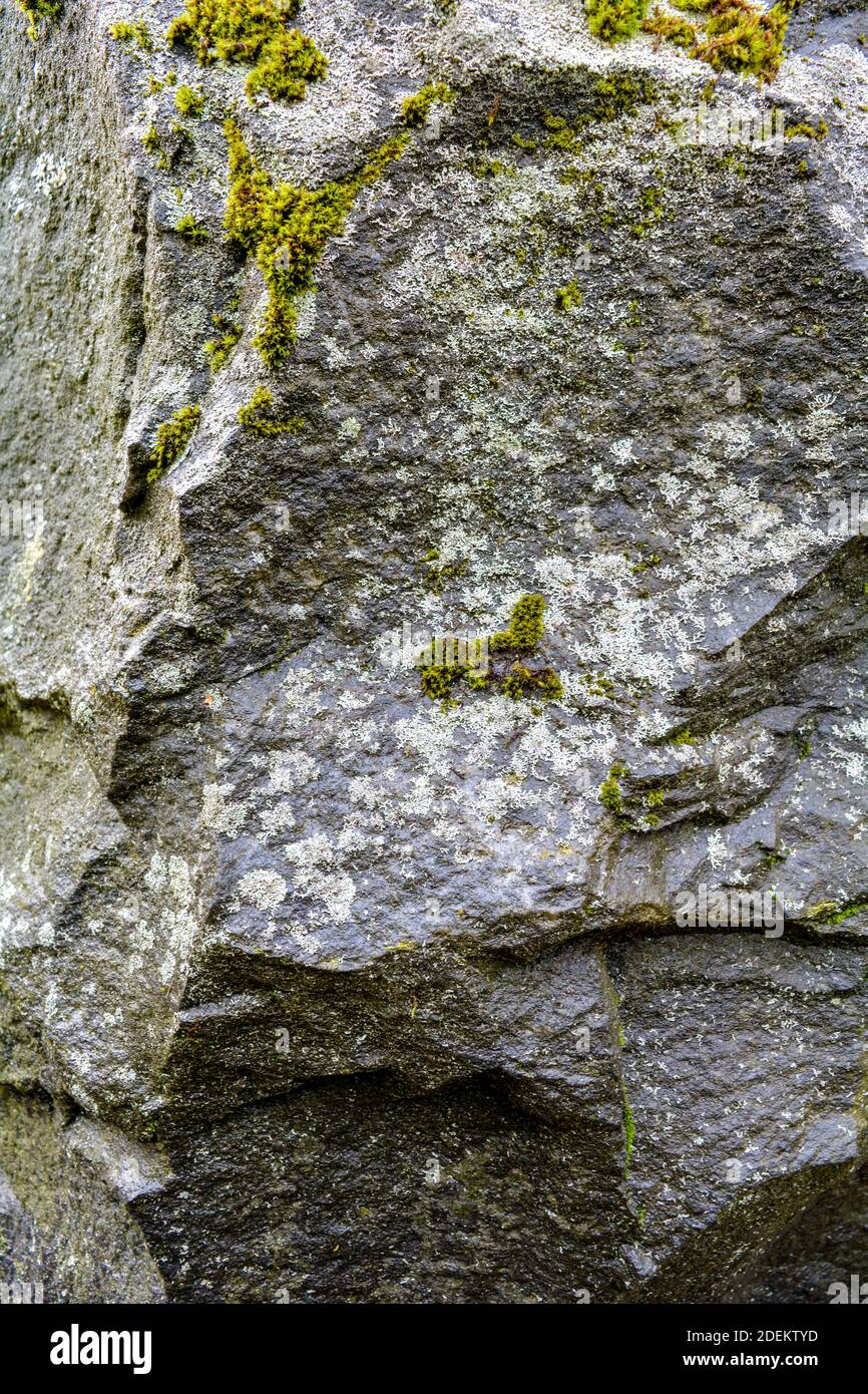 Ancient stone surface with green moss and lichen Stock Photo