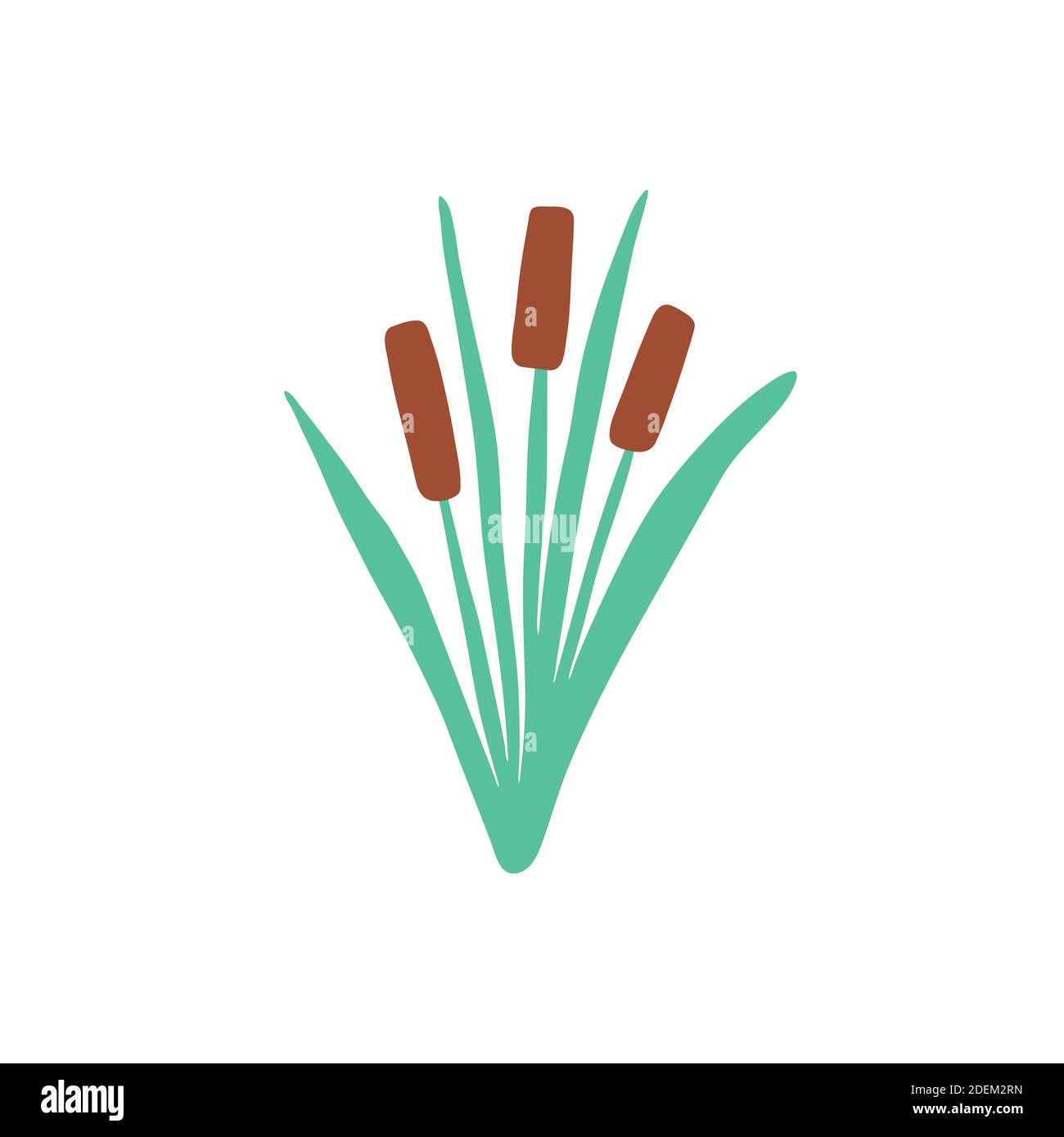 Reed in grass isolated element. Flat cane clipart Stock Vector