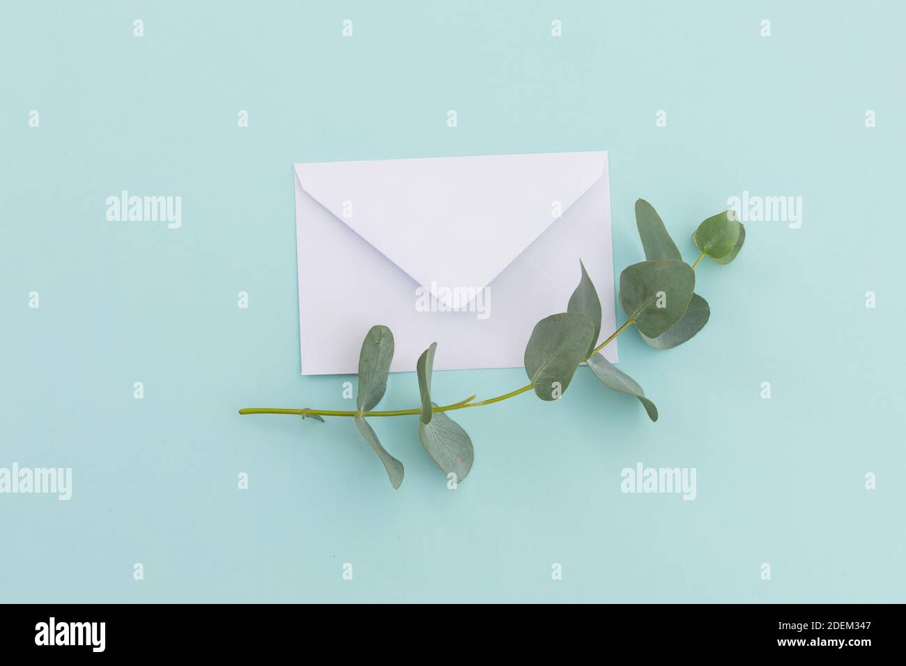 White envelope with twig and leaves lying on pale blue background Stock Photo
