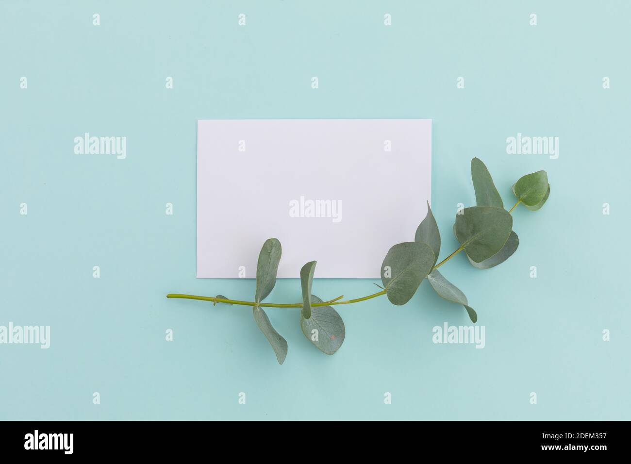 White envelope with twig and leaves lying on pale blue background Stock Photo