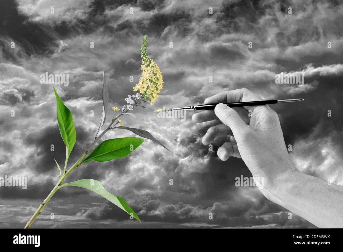Artist painting a flower in colour in a grey world concept Stock Photo