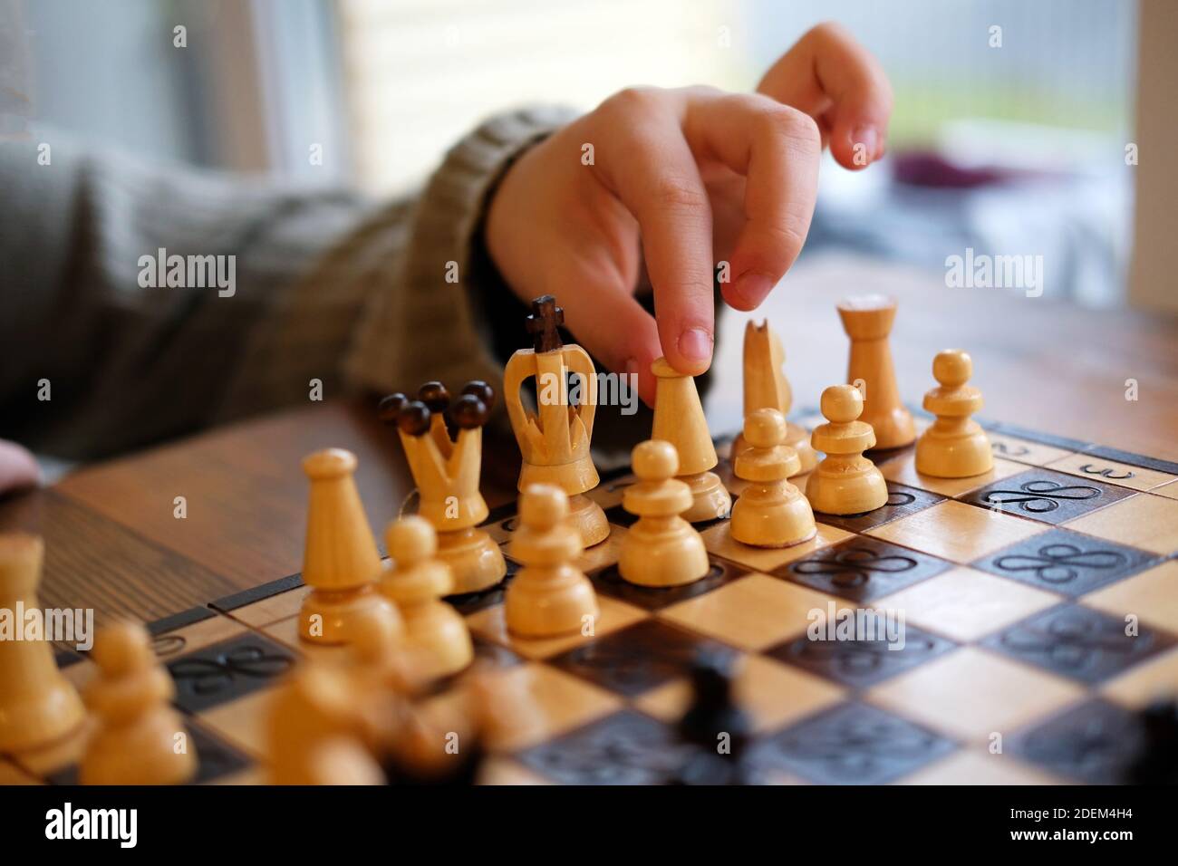 Faby-Chess : Activity •