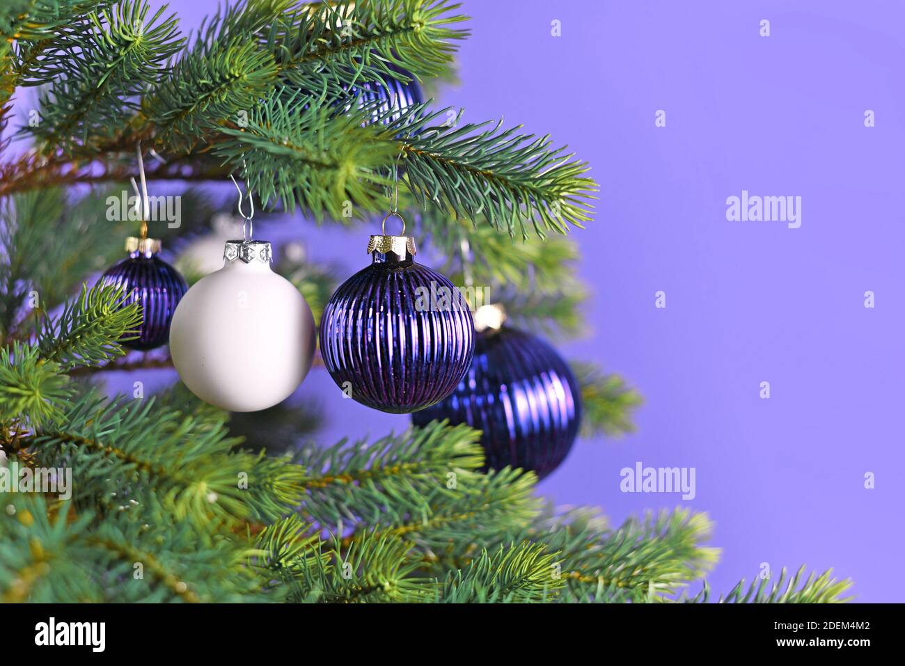 Purple and white decorative glass baubles hanging from Christmas tree branch on violet background with copy space Stock Photo