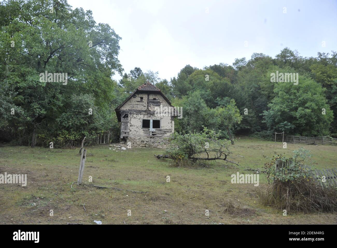 agriculture and farming in romania, plant growing and food production ...