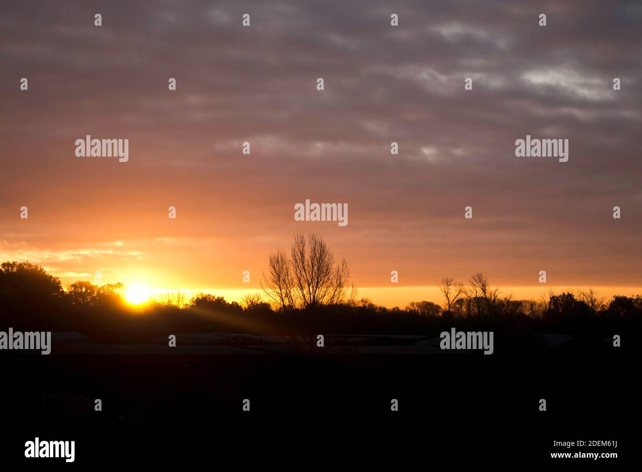 sunrise in winter Stock Photo