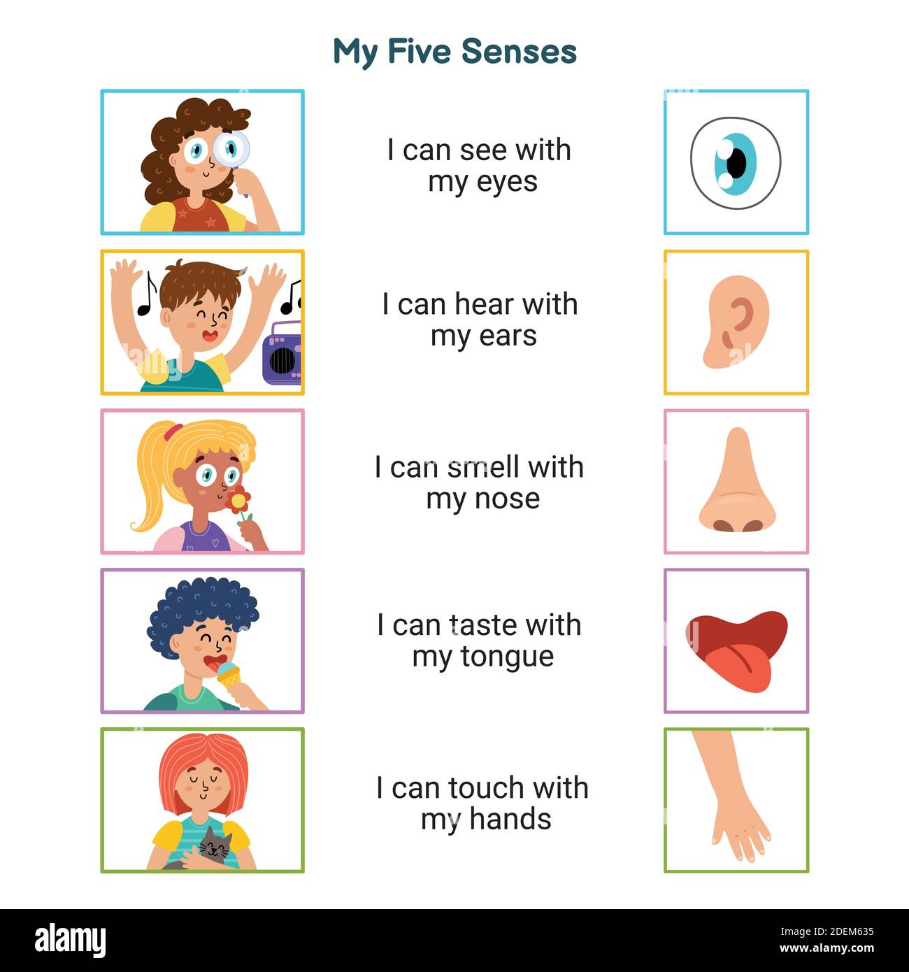 My five senses educational poster for kids. Sight, hearing, smell, taste, touch Stock Vector