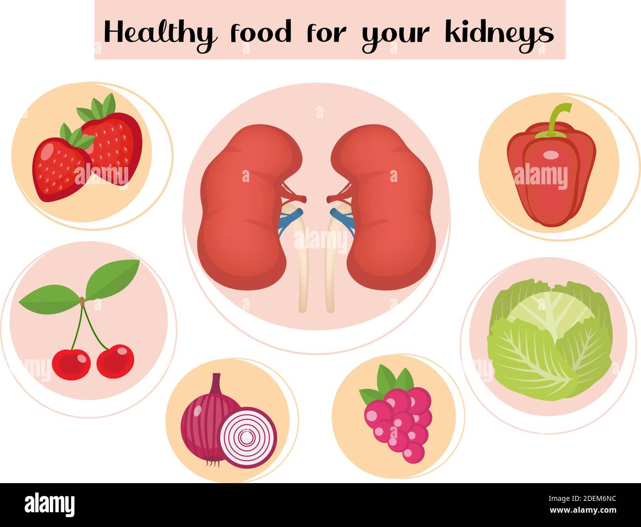 Healthy food for your kidneys infographic. Concept of food and vitamins, medicine, kidney disease prevention. Vector illustration Stock Vector