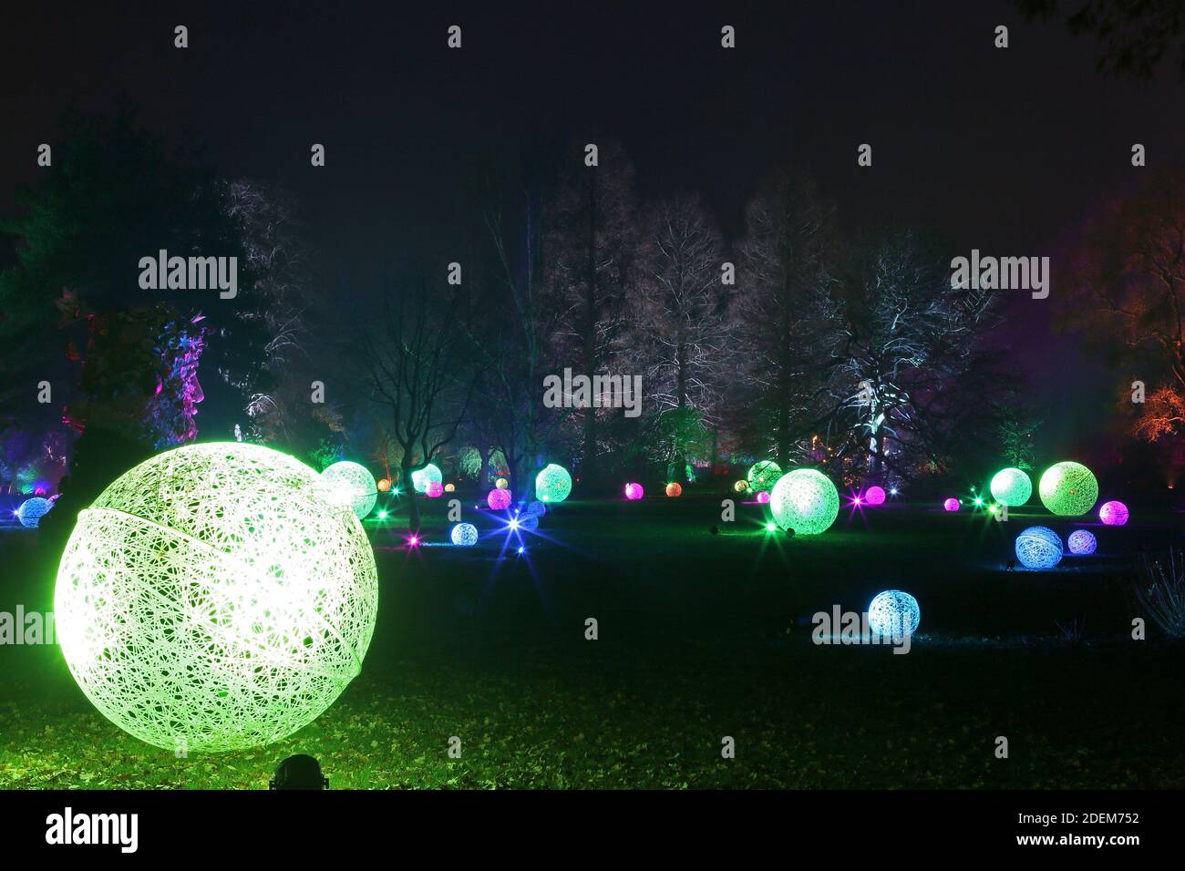 Seven Acres Lawn, Christmas Glow 2020, RHS Garden Wisley, Woking