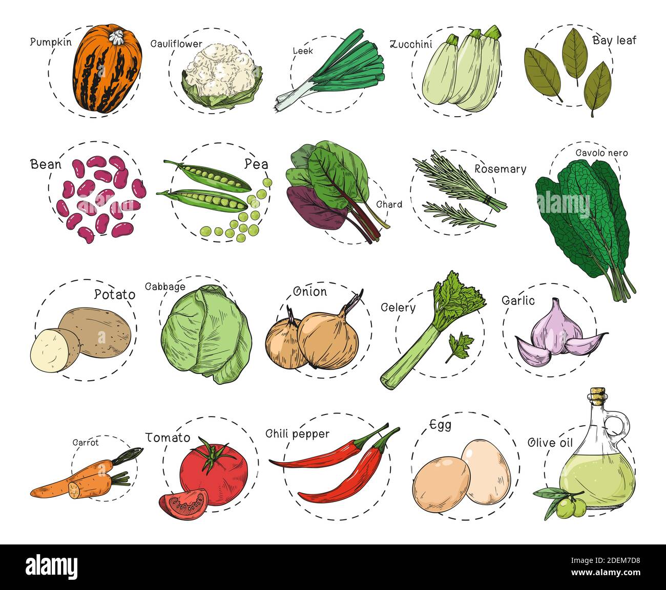 Sketch of different vegetables. Recipe stickers. Set of vegetables ...
