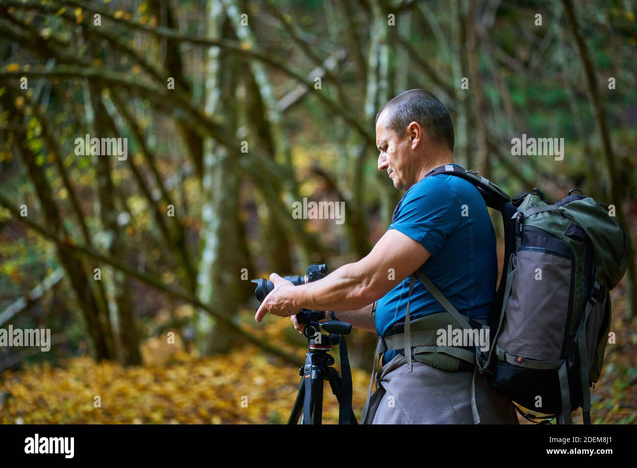 Proeve hi-res stock photography and images - Alamy