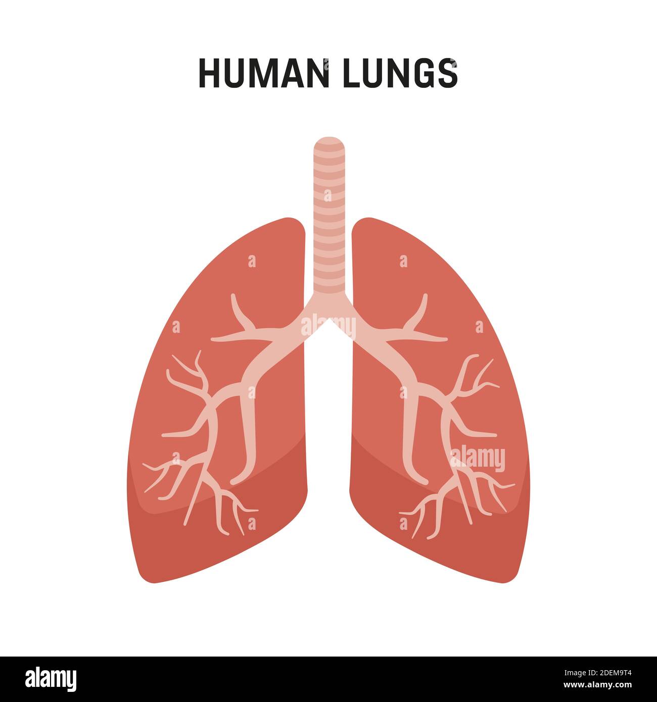 Human lungs. Medical symbols, human lungs with abstract structure Stock ...