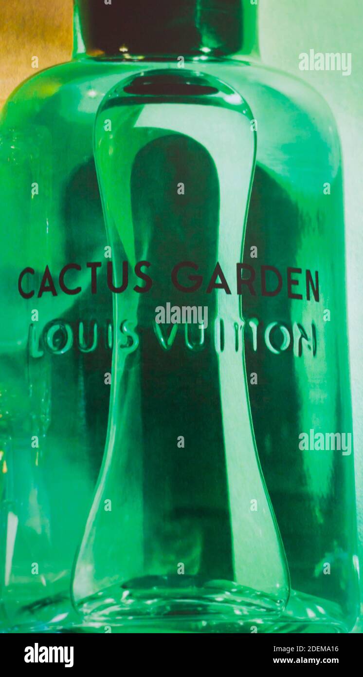 cactus louis vuitton