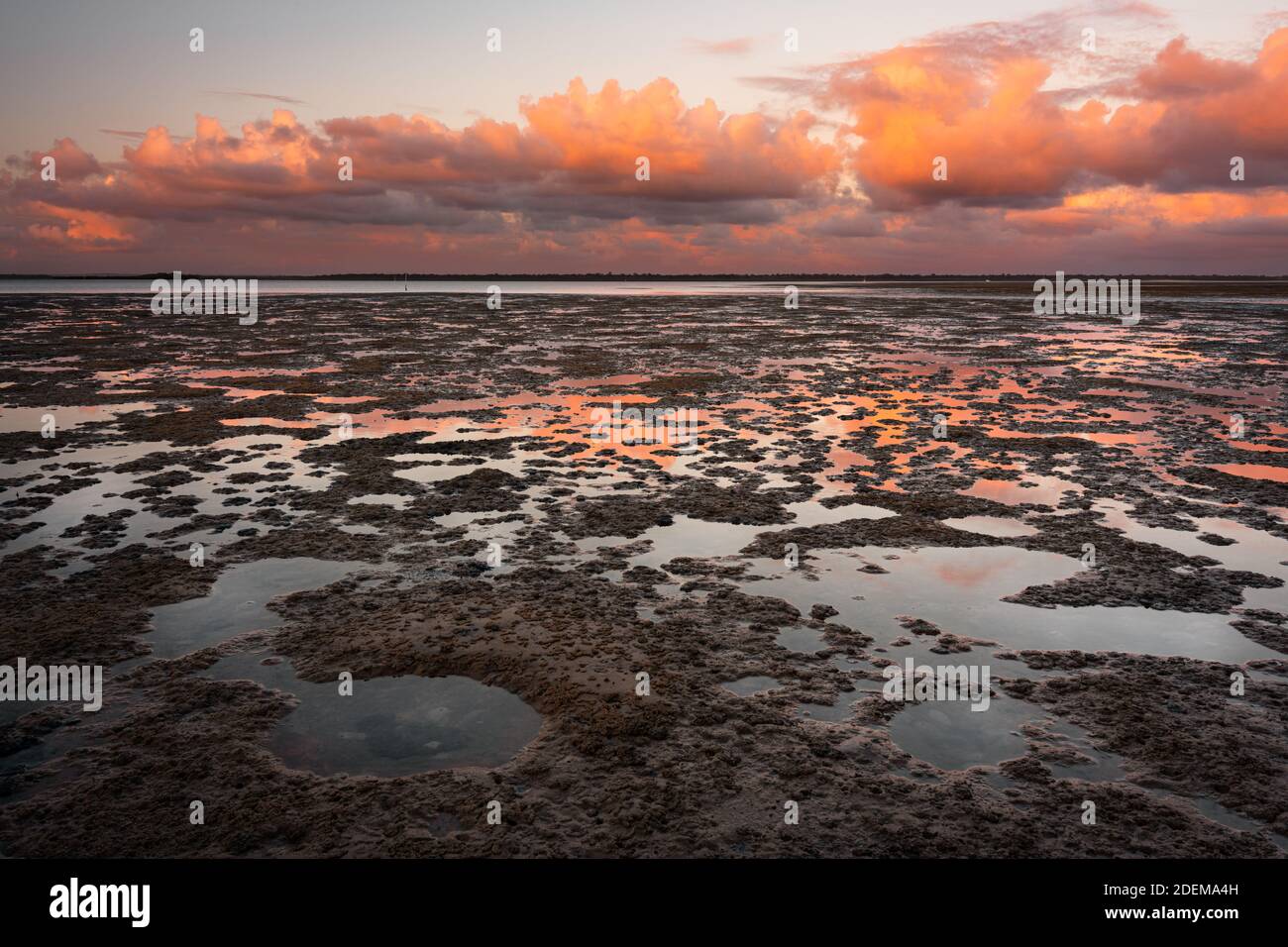 Colourful reflections on the mudflats of Tin Can Bay. Stock Photo
