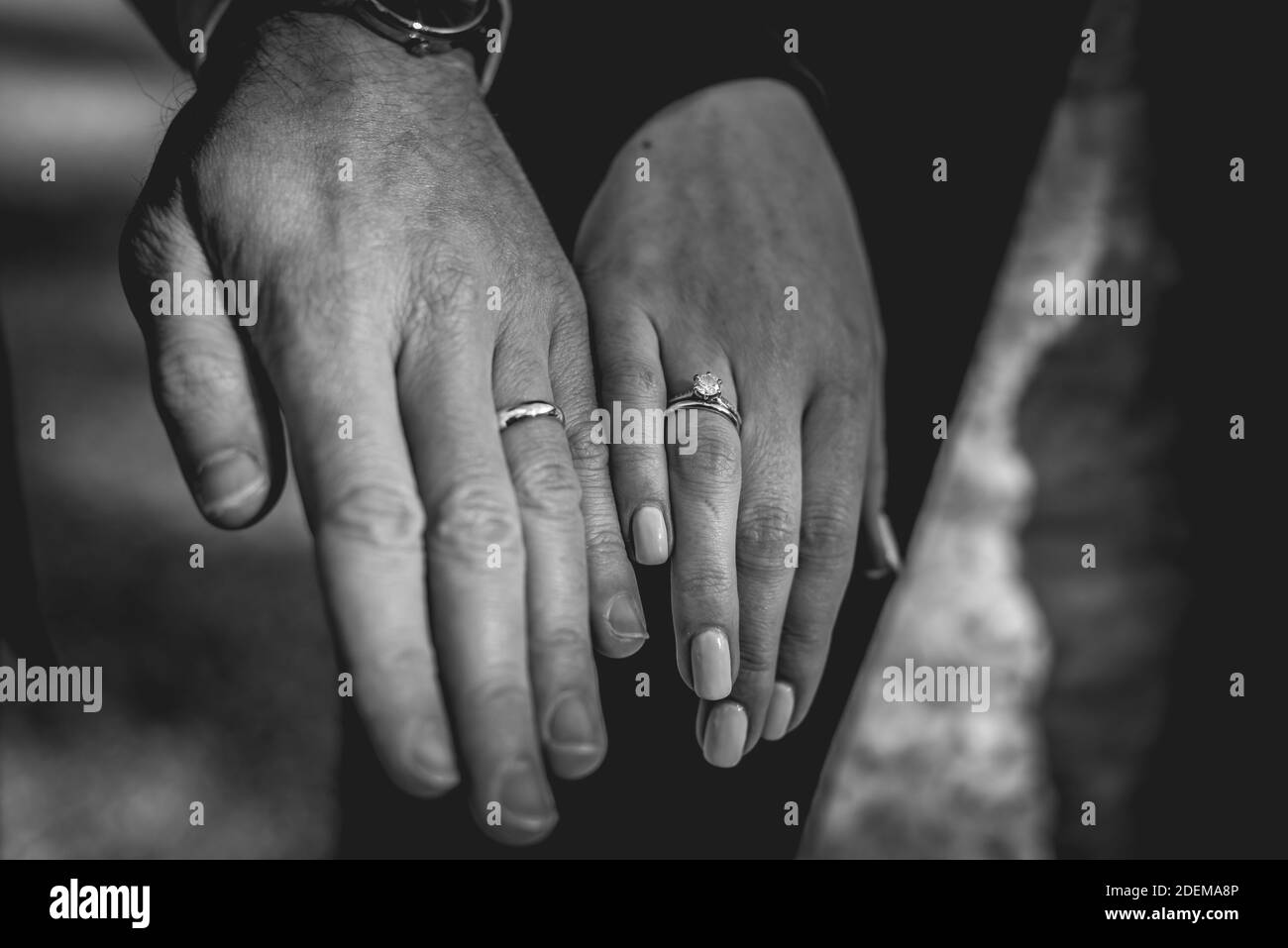 hands of the groom and the bride Stock Photo