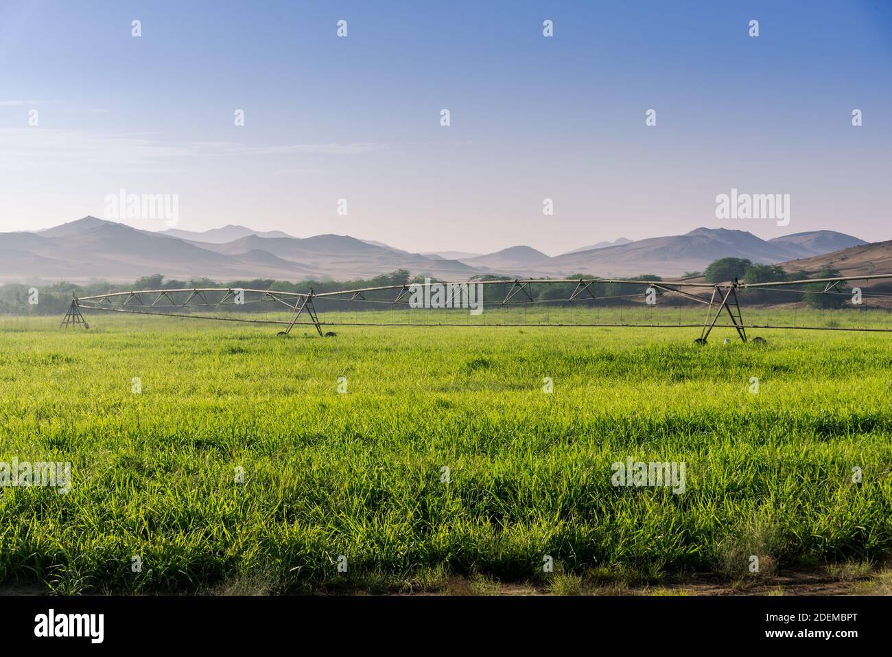 Agricultural land in the desert of Saudi Arabia Stock Photo Alamy