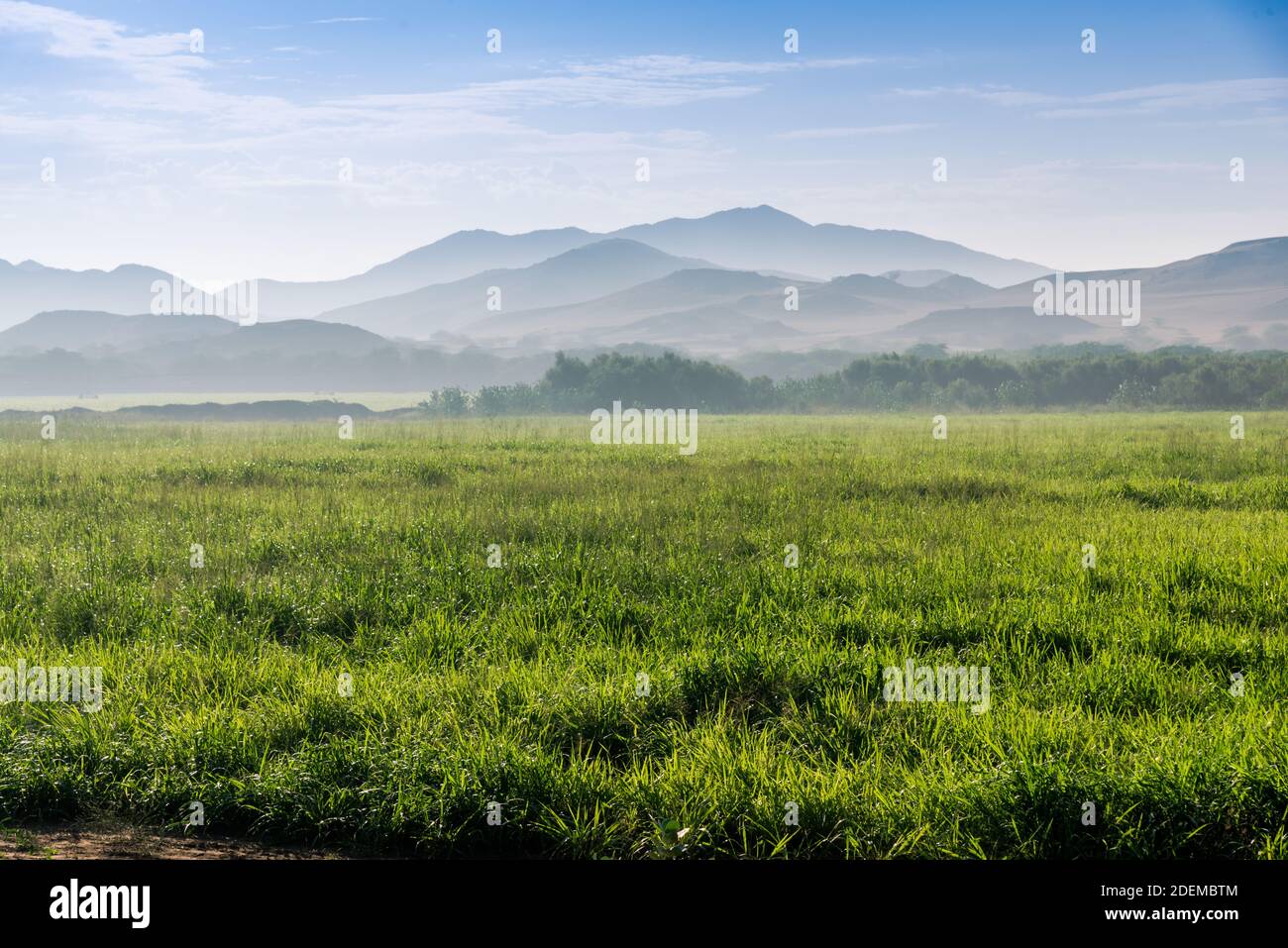 Agricultural land in the desert of Saudi Arabia Stock Photo Alamy