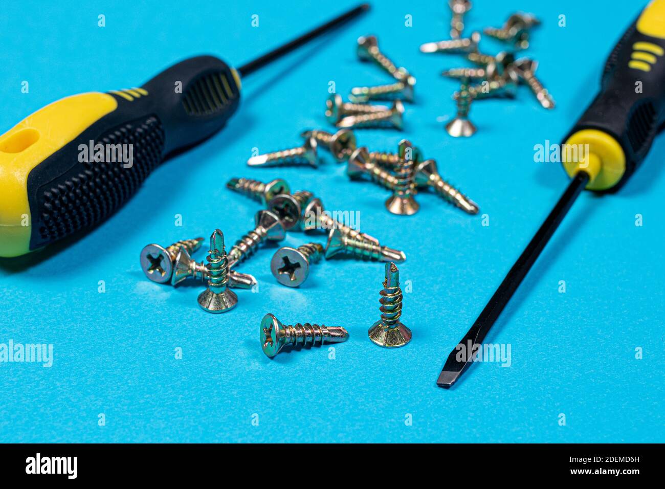 Screwdrivers and self-cutters on a blue background. Banner for a construction store, tools for repairing furniture Stock Photo