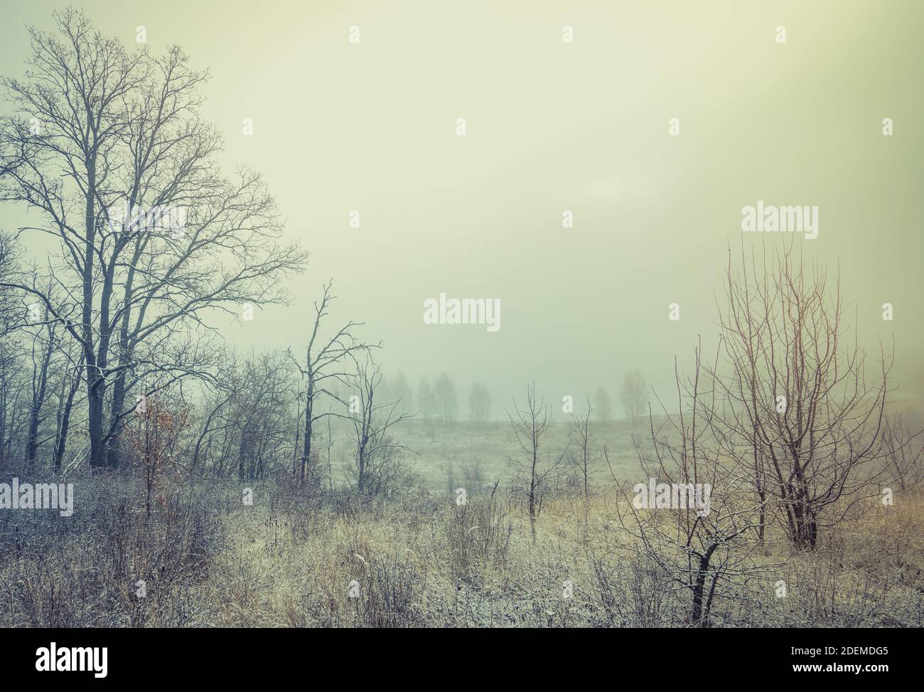 Fog shrouded hills hi-res stock photography and images - Alamy