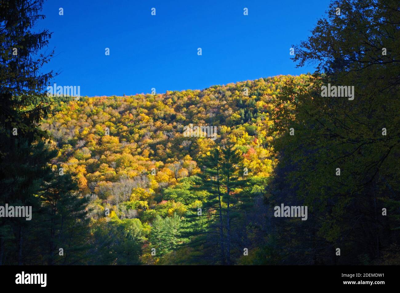 Fall In the Mountains Stock Photo
