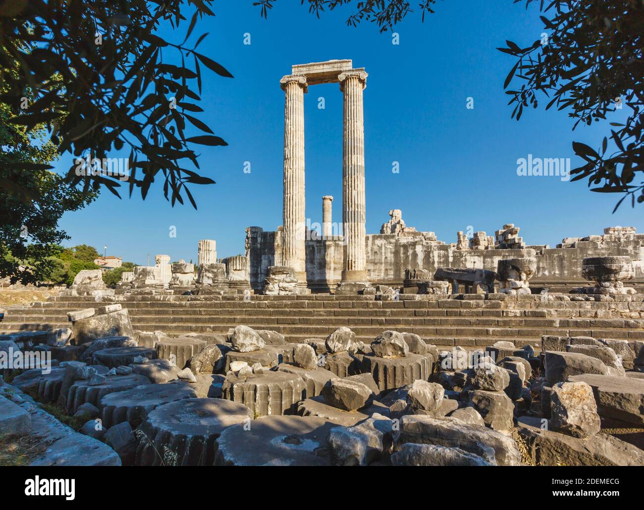 Ruins of ancient Didyma at Didim, Aydin Province, Turkey.  Temple of Apollo. Stock Photo