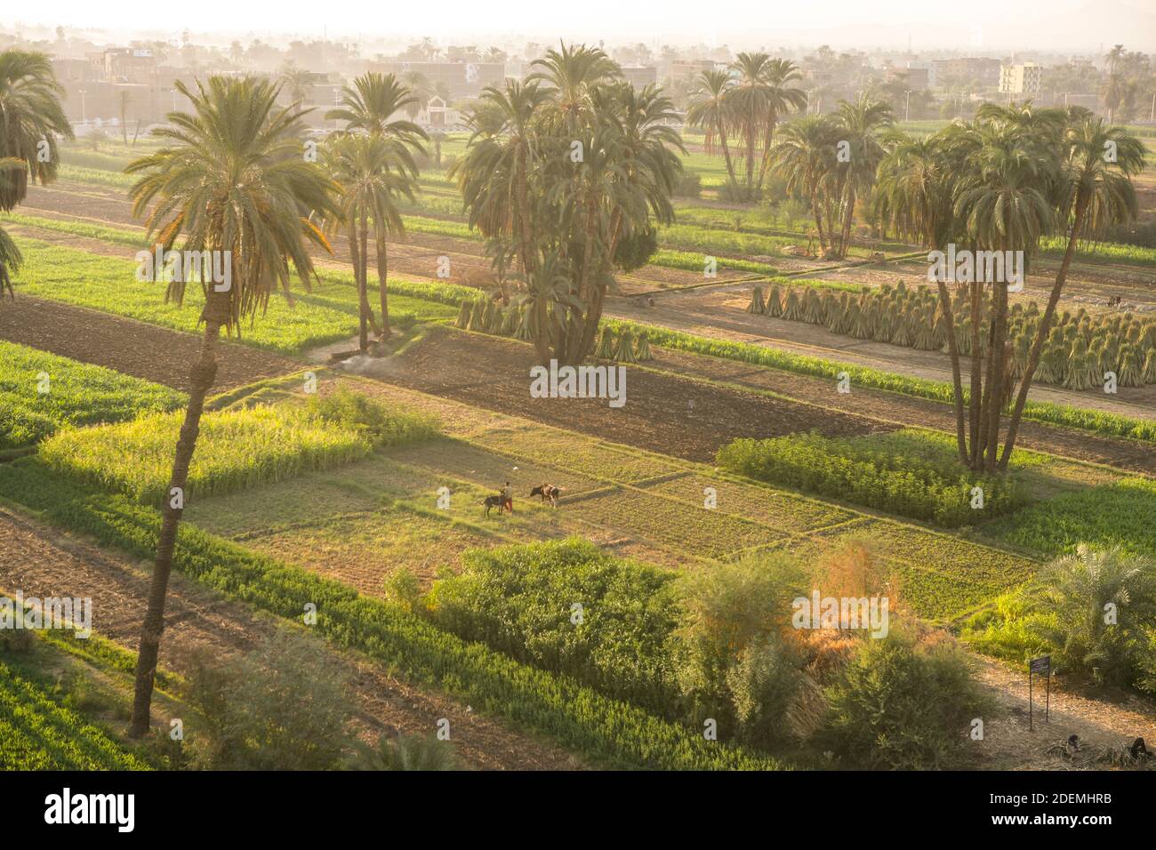 LUXOR AND HIS SUBURBS SEEN FROM A HOT HOT-AIR BALLOON Stock Photo