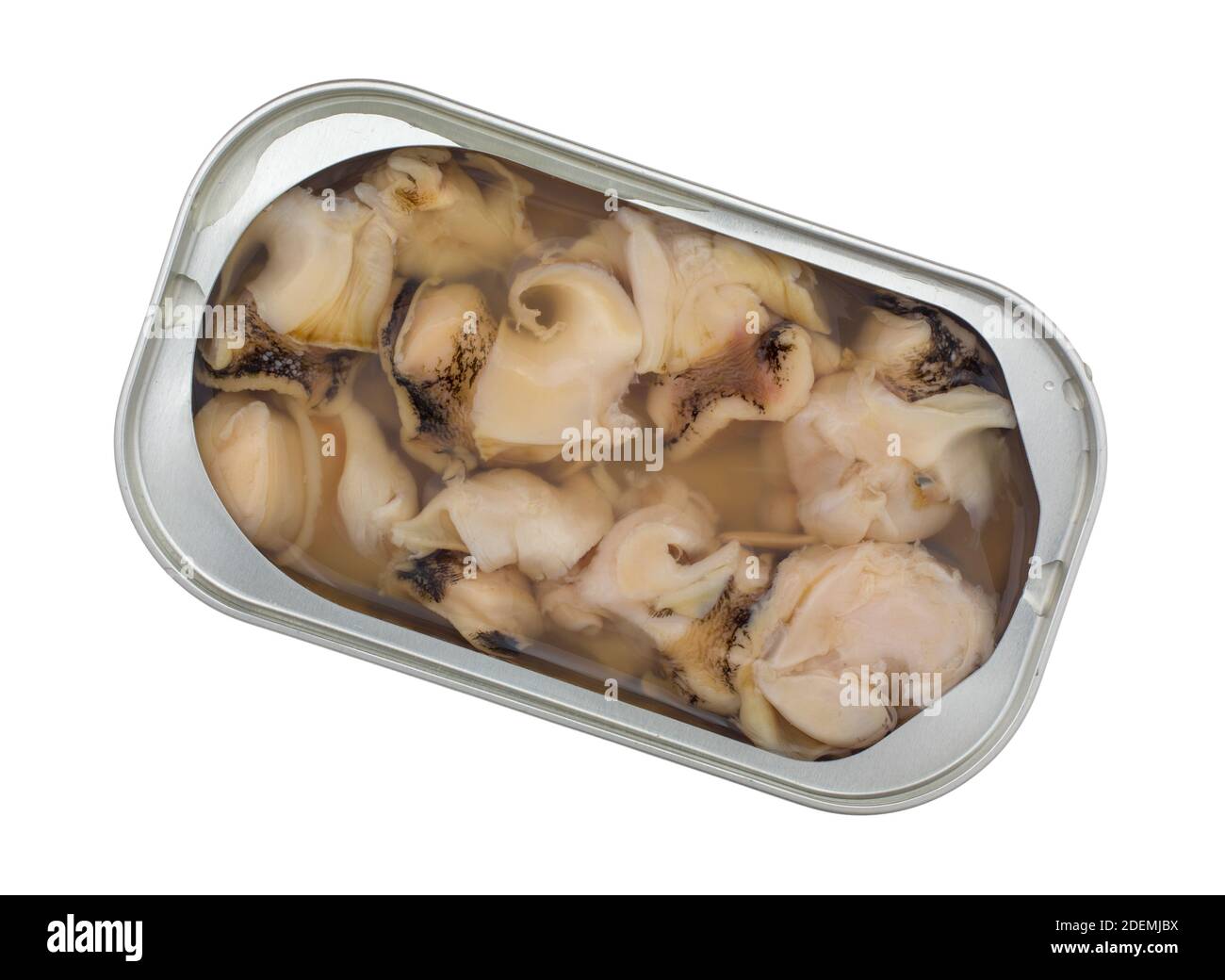 Top view of cooked conch snails in an open tin on a white background. Stock Photo