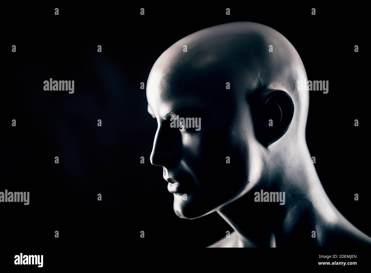 Scary mannequin head in the dark Stock Photo