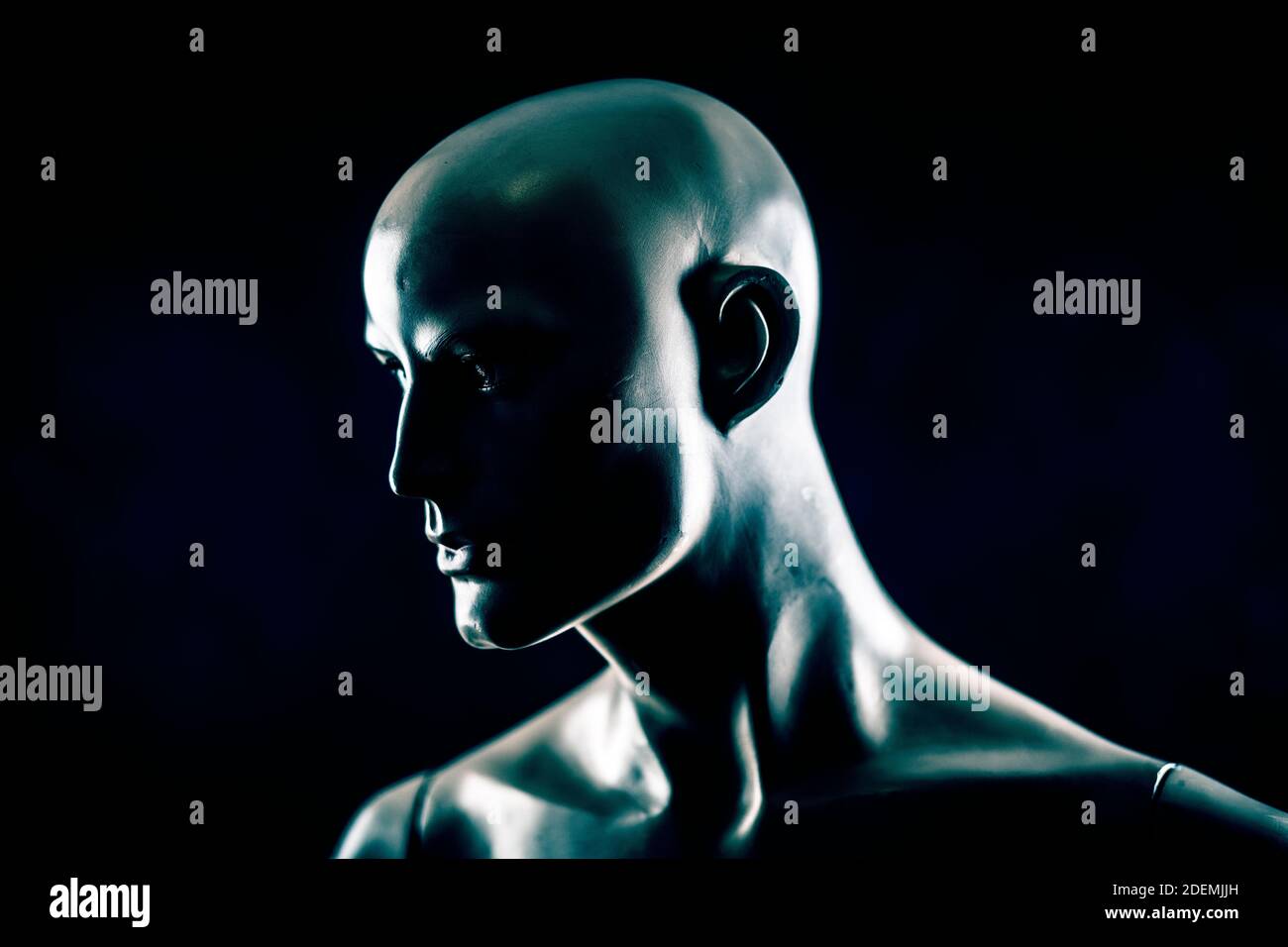 Scary mannequin head in the dark Stock Photo