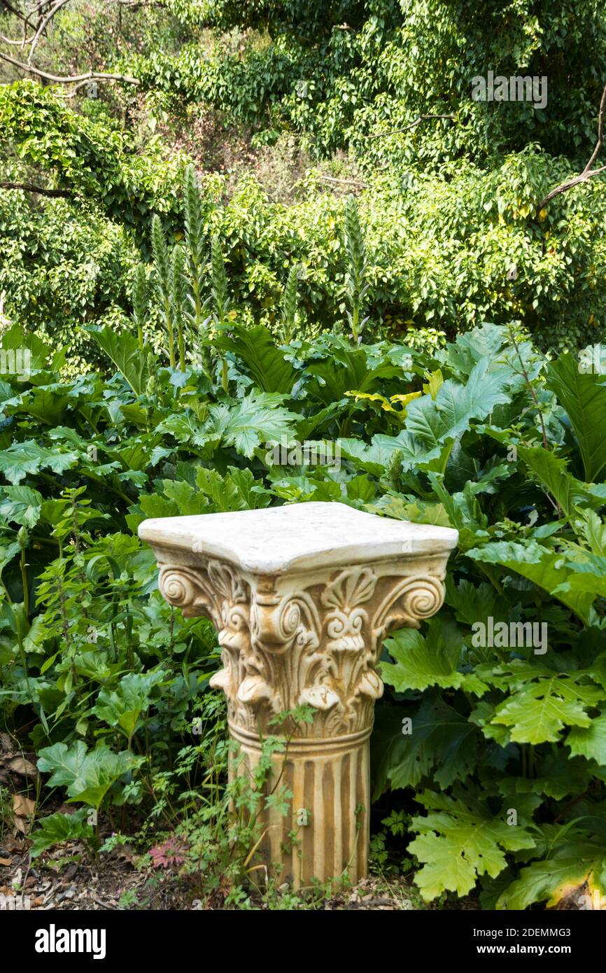 Column with Acanthus leaves Stock Photo