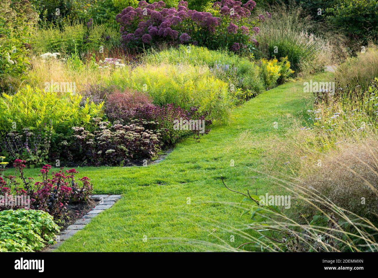 Plant borders and grass path Stock Photo Alamy