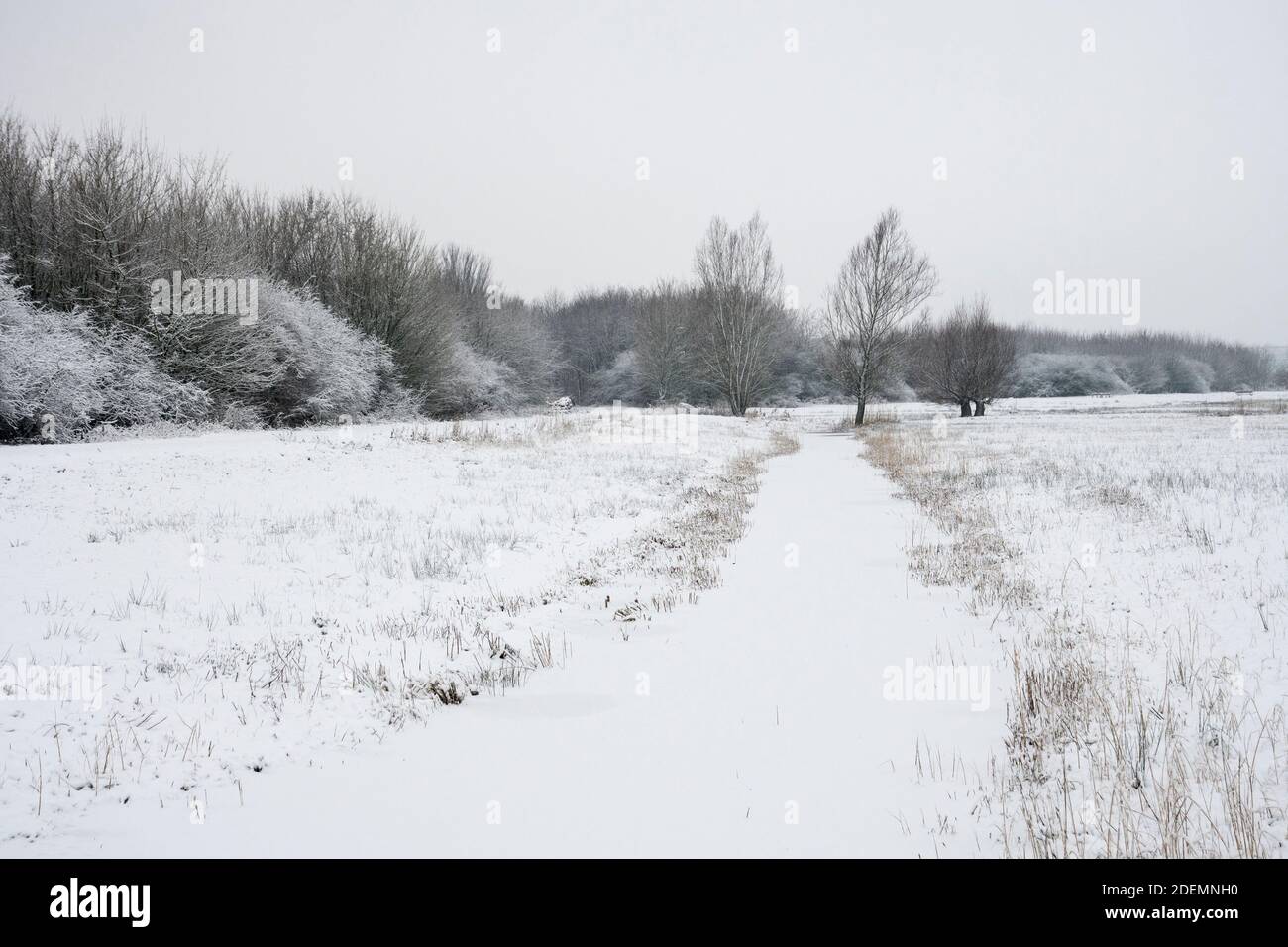 Winter landscape near Houten, the Netherlands Stock Photo