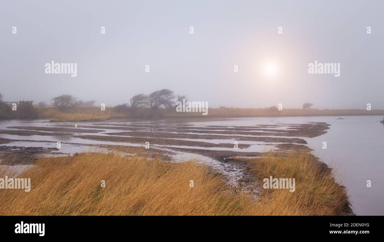 A foggy winter morning in the Seven Sisters Country Park. Cuckmere river near Cuckmere Haven, East Sussex, England, United Kingdom. Stock Photo