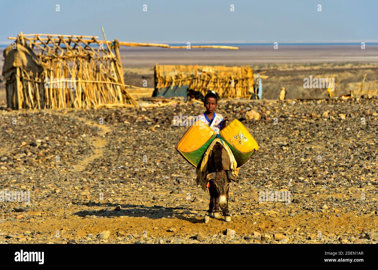 Kleiner Junge mit Esel und Wasserkanistern auf dem Weg zur Wasserstelle, Hamadela, Danakil Senke, Afar Region, Äthiopien / Little boy fetching water w Stock Photo