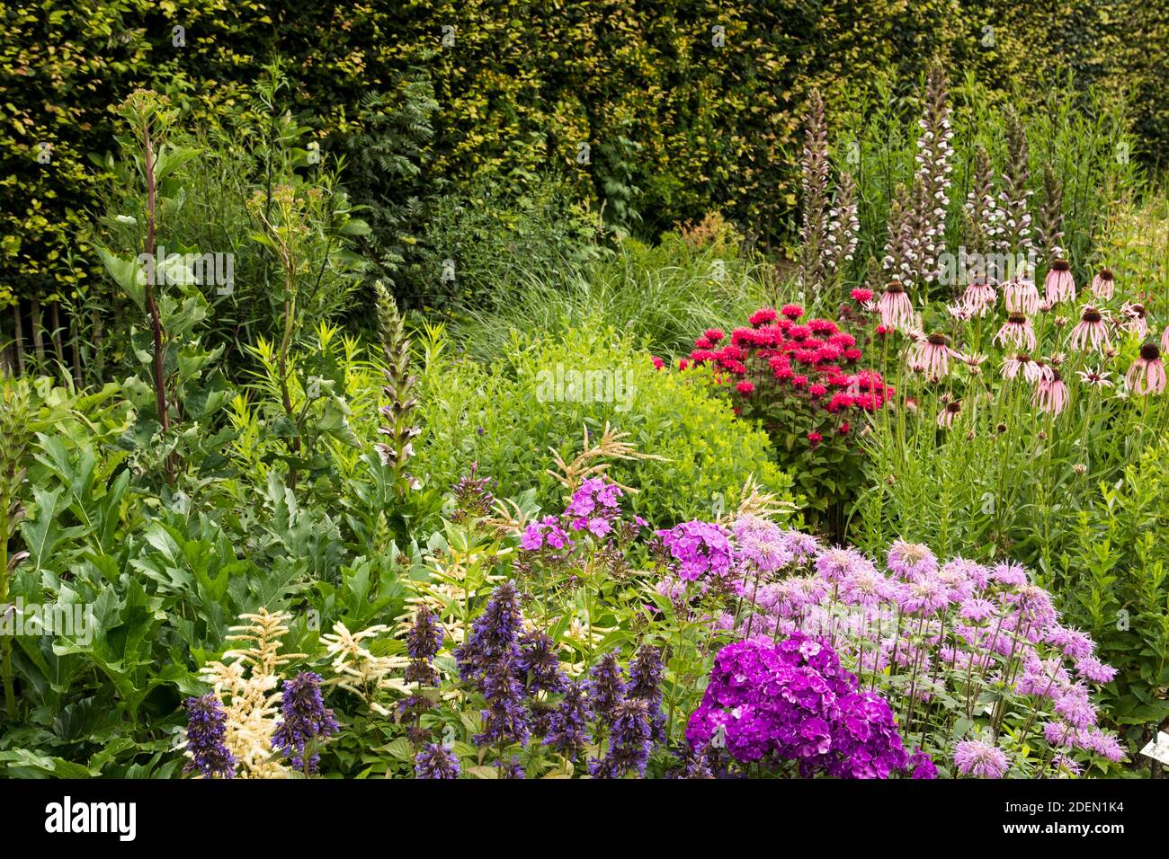 Plant border with perennials Stock Photo Alamy