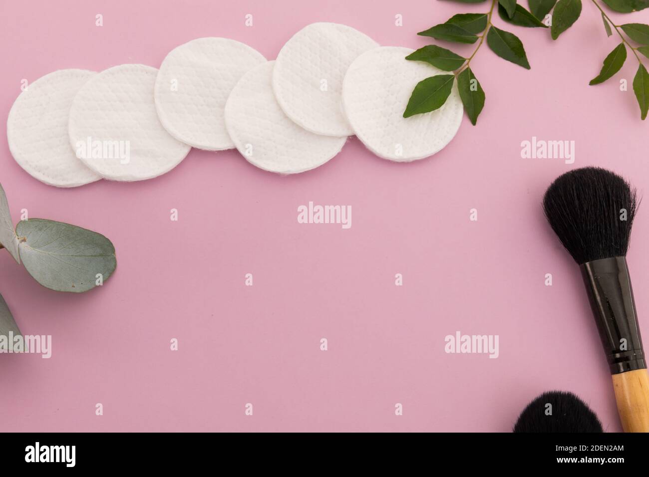 Makeup brushes, cotton pads and plants on pink background Stock Photo